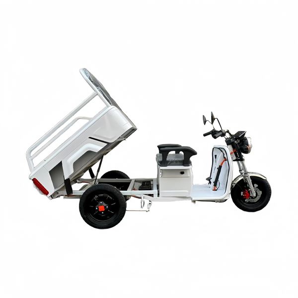 EEC Certified Electric Cargo Tricycle - 650W Motor Heavy-Duty Tipper Home & Commercial Use | TW-RK1-EEC