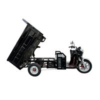 EEC Certified 1000W Electric Cargo Trike - Heavy-Duty 300kg Capacity Home & Commercial Transport | TW-RK7-EEC