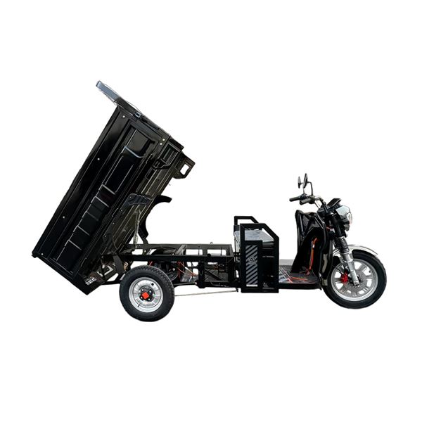 EEC Certified 1000W Electric Cargo Trike - Heavy-Duty 300kg Capacity Home & Commercial Transport | TW-RK7-EEC
