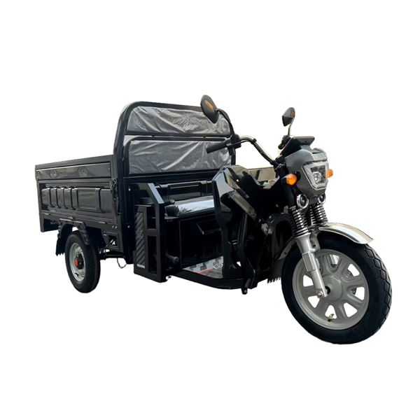EEC Certified 1000W Electric Cargo Trike - Heavy-Duty 300kg Capacity Home & Commercial Transport | TW-RK7-EEC