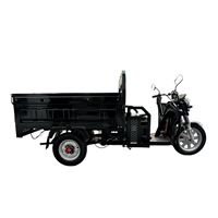 EEC Certified 1000W Electric Cargo Trike - Heavy-Duty 300kg Capacity Home & Commercial Transport | TW-RK7-EEC