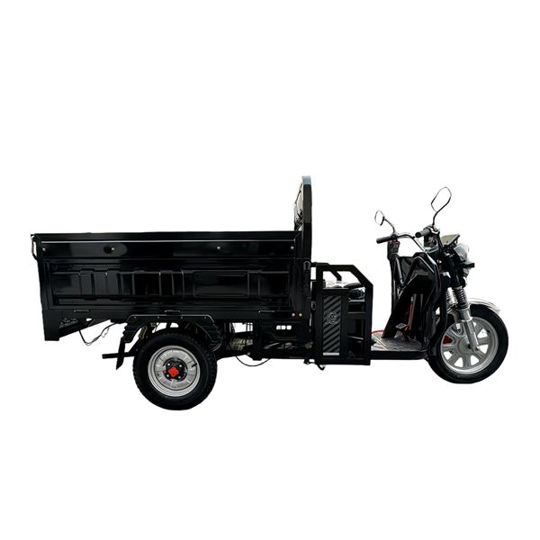 EEC Certified 1000W Electric Cargo Trike - Heavy-Duty 300kg Capacity Home & Commercial Transport | TW-RK7-EEC