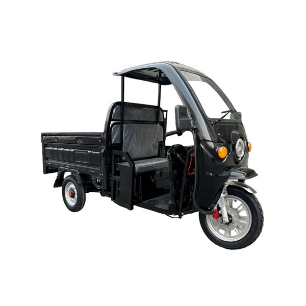 EEC Certified 1000W Electric Cargo Trike - Heavy-Duty 300kg Capacity Home & Commercial Transport | TW-RK7-EEC