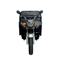 EEC Certified 1000W Electric Cargo Trike - Heavy-Duty 300kg Capacity Home & Commercial Transport | TW-RK7-EEC