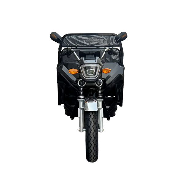 EEC Certified 1000W Electric Cargo Trike - Heavy-Duty 300kg Capacity Home & Commercial Transport | TW-RK7-EEC