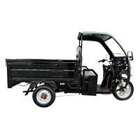 EEC Certified 1000W Electric Cargo Trike - Heavy-Duty 300kg Capacity Home & Commercial Transport | TW-RK7-EEC