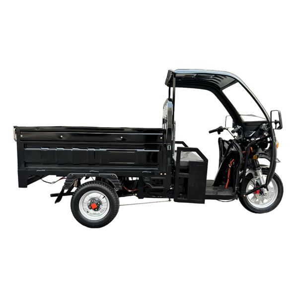 EEC Certified 1000W Electric Cargo Trike - Heavy-Duty 300kg Capacity Home & Commercial Transport | TW-RK7-EEC