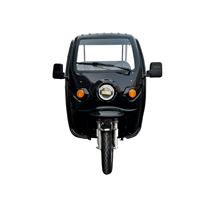 EEC Certified 1000W Electric Cargo Trike - Heavy-Duty 300kg Capacity Home & Commercial Transport | TW-RK7-EEC