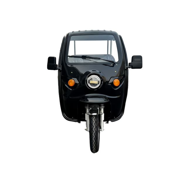 EEC Certified 1000W Electric Cargo Trike - Heavy-Duty 300kg Capacity Home & Commercial Transport | TW-RK7-EEC