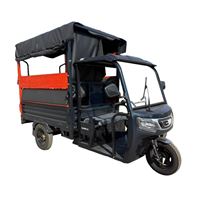 High-roof passenger three wheeler Long-Range Battery 60V100AH  | RK10