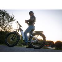 	Fat Wheel Electric Bike for Adults Peak 750W Electric Bicycle 48V 20Ah Battery 26"Fat Tire Mountain 7 Speed Ebike for female |Grizzly low step