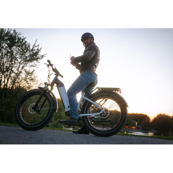 	Fat Wheel Electric Bike for Adults Peak 750W Electric Bicycle 48V 20Ah Battery 26"Fat Tire Mountain 7 Speed Ebike for female |Grizzly low step