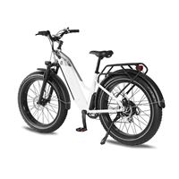 Factory Wholesale Snow Mountain Bike Lithium Battery Fat Tire Variable Speed Shock Absorption off-Road Electric Bicycle for female | Span Low Step