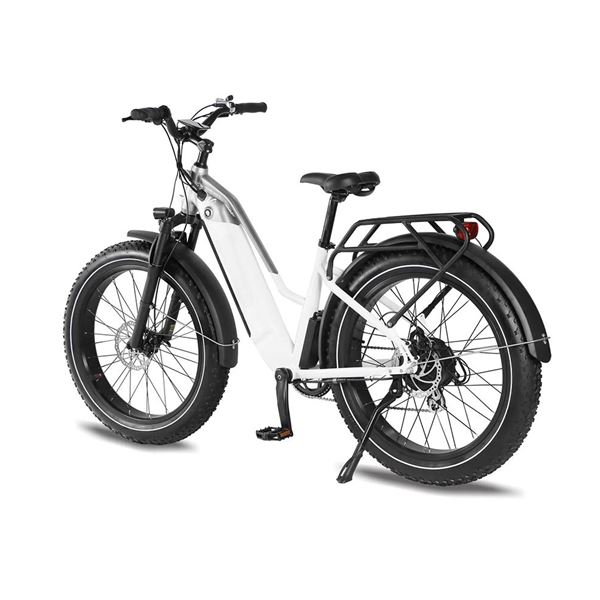 Factory Wholesale Snow Mountain Bike Lithium Battery Fat Tire Variable Speed Shock Absorption off-Road Electric Bicycle for female | Span Low Step