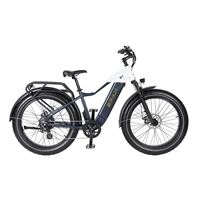 Factory Wholesale Snow Mountain Bike Lithium Battery Fat Tire Variable Speed Shock Absorption off-Road Electric Bicycle for male | Span High Step