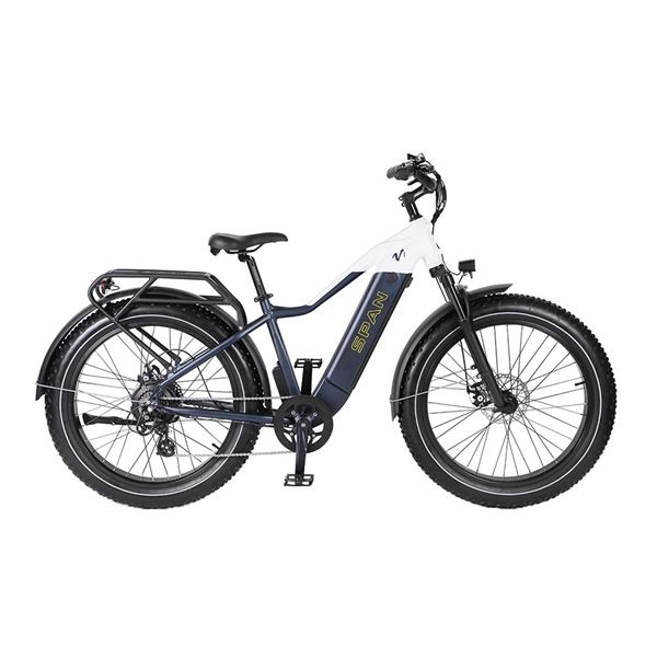 Factory Wholesale Snow Mountain Bike Lithium Battery Fat Tire Variable Speed Shock Absorption off-Road Electric Bicycle for male | Span High Step