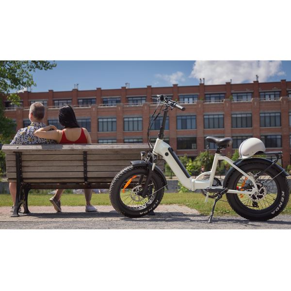 Stylish Affordable Folding Long-Range eBike Electric Commuter Bike | Moose