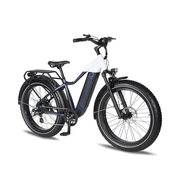Factory Wholesale Snow Mountain Bike Lithium Battery Fat Tire Variable Speed Shock Absorption off-Road Electric Bicycle for male | Span High Step