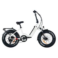 Stylish Affordable Folding Long-Range eBike Electric Commuter Bike | Moose