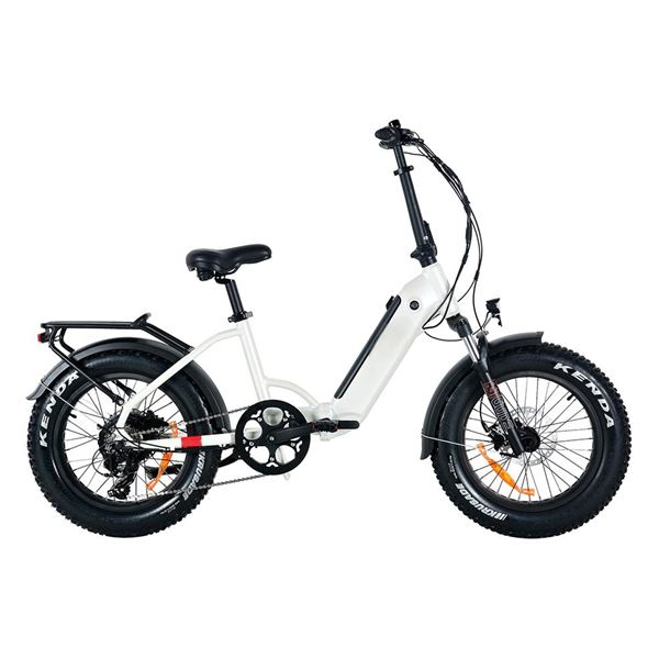Stylish Affordable Folding Long-Range eBike Electric Commuter Bike | Moose