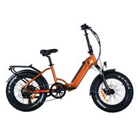 Stylish Affordable Folding Long-Range eBike Electric Commuter Bike | Moose