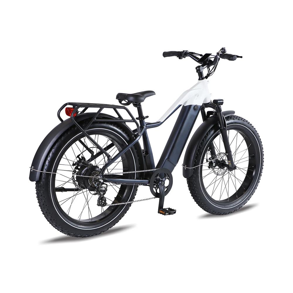 Factory Wholesale Snow Mountain Bike Lithium Battery Fat Tire Variable Speed Shock Absorption off-Road Electric Bicycle for male | Span High Step