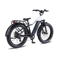 Factory Wholesale Snow Mountain Bike Lithium Battery Fat Tire Variable Speed Shock Absorption off-Road Electric Bicycle for male | Span High Step