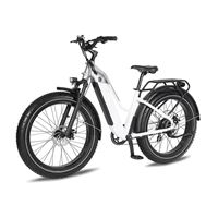 Factory Wholesale Snow Mountain Bike Lithium Battery Fat Tire Variable Speed Shock Absorption off-Road Electric Bicycle for female | Span Low Step