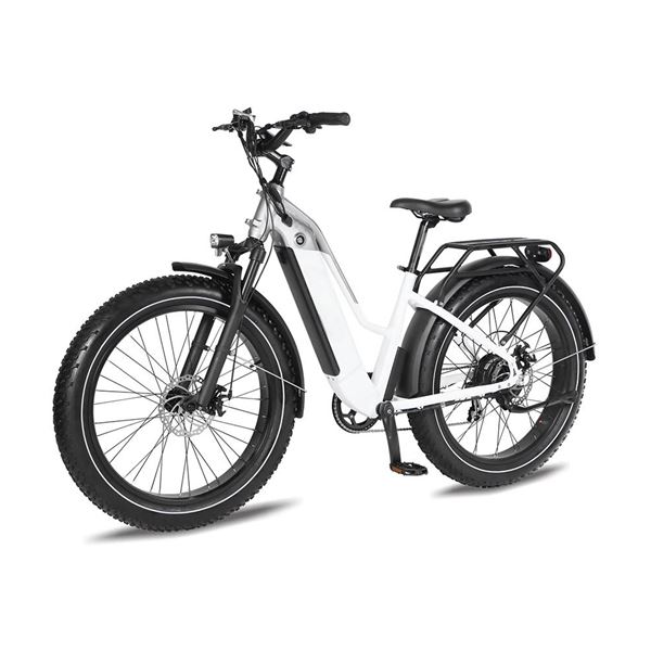 Factory Wholesale Snow Mountain Bike Lithium Battery Fat Tire Variable Speed Shock Absorption off-Road Electric Bicycle for female | Span Low Step