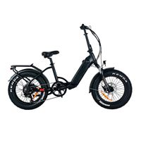 Stylish Affordable Folding Long-Range eBike Electric Commuter Bike | Moose