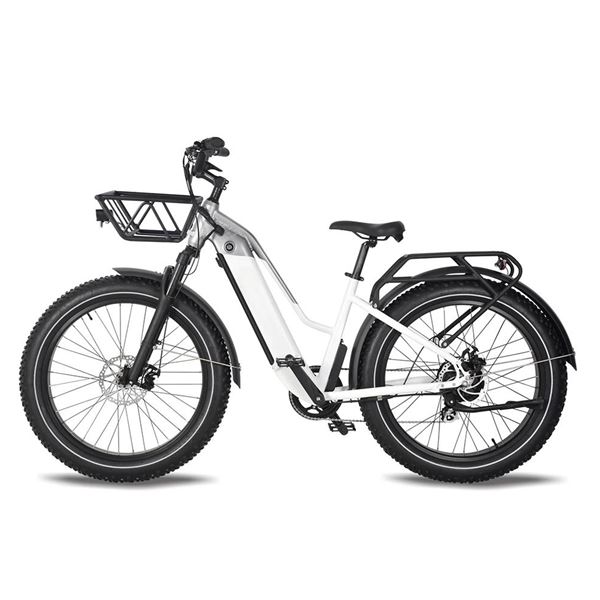 Factory Wholesale Snow Mountain Bike Lithium Battery Fat Tire Variable Speed Shock Absorption off-Road Electric Bicycle for female | Span Low Step