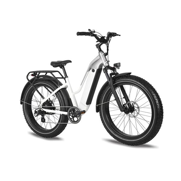 Factory Wholesale Snow Mountain Bike Lithium Battery Fat Tire Variable Speed Shock Absorption off-Road Electric Bicycle for female | Span Low Step