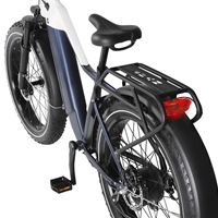 Factory Wholesale Snow Mountain Bike Lithium Battery Fat Tire Variable Speed Shock Absorption off-Road Electric Bicycle for male | Span High Step