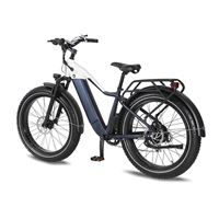 Factory Wholesale Snow Mountain Bike Lithium Battery Fat Tire Variable Speed Shock Absorption off-Road Electric Bicycle for male | Span High Step
