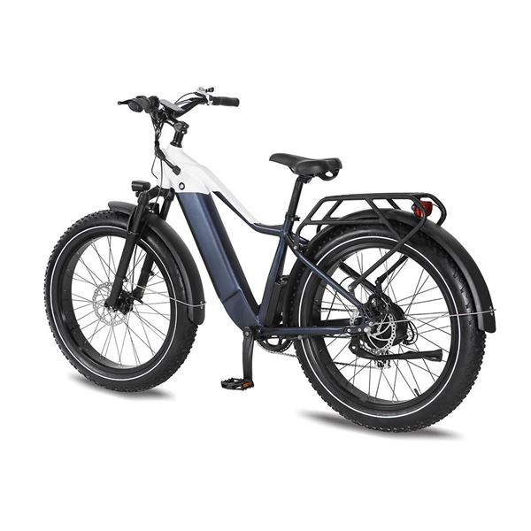 Factory Wholesale Snow Mountain Bike Lithium Battery Fat Tire Variable Speed Shock Absorption off-Road Electric Bicycle for male | Span High Step