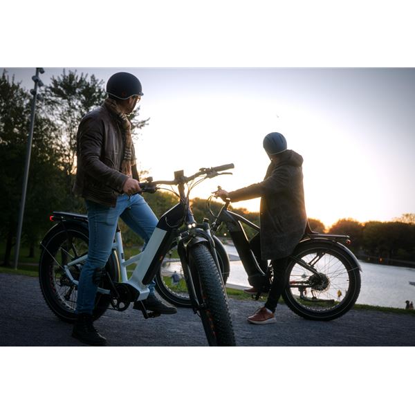 Fat Wheel Electric Bike for Adults Peak 750W Electric Bicycle 48V 20Ah Battery 26"Fat Tire Mountain 7 Speed Ebike for male | Grizzly high step