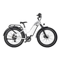 Factory Wholesale Snow Mountain Bike Lithium Battery Fat Tire Variable Speed Shock Absorption off-Road Electric Bicycle for female | Span Low Step
