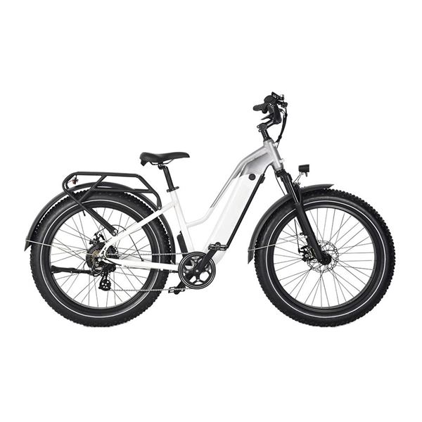 Factory Wholesale Snow Mountain Bike Lithium Battery Fat Tire Variable Speed Shock Absorption off-Road Electric Bicycle for female | Span Low Step