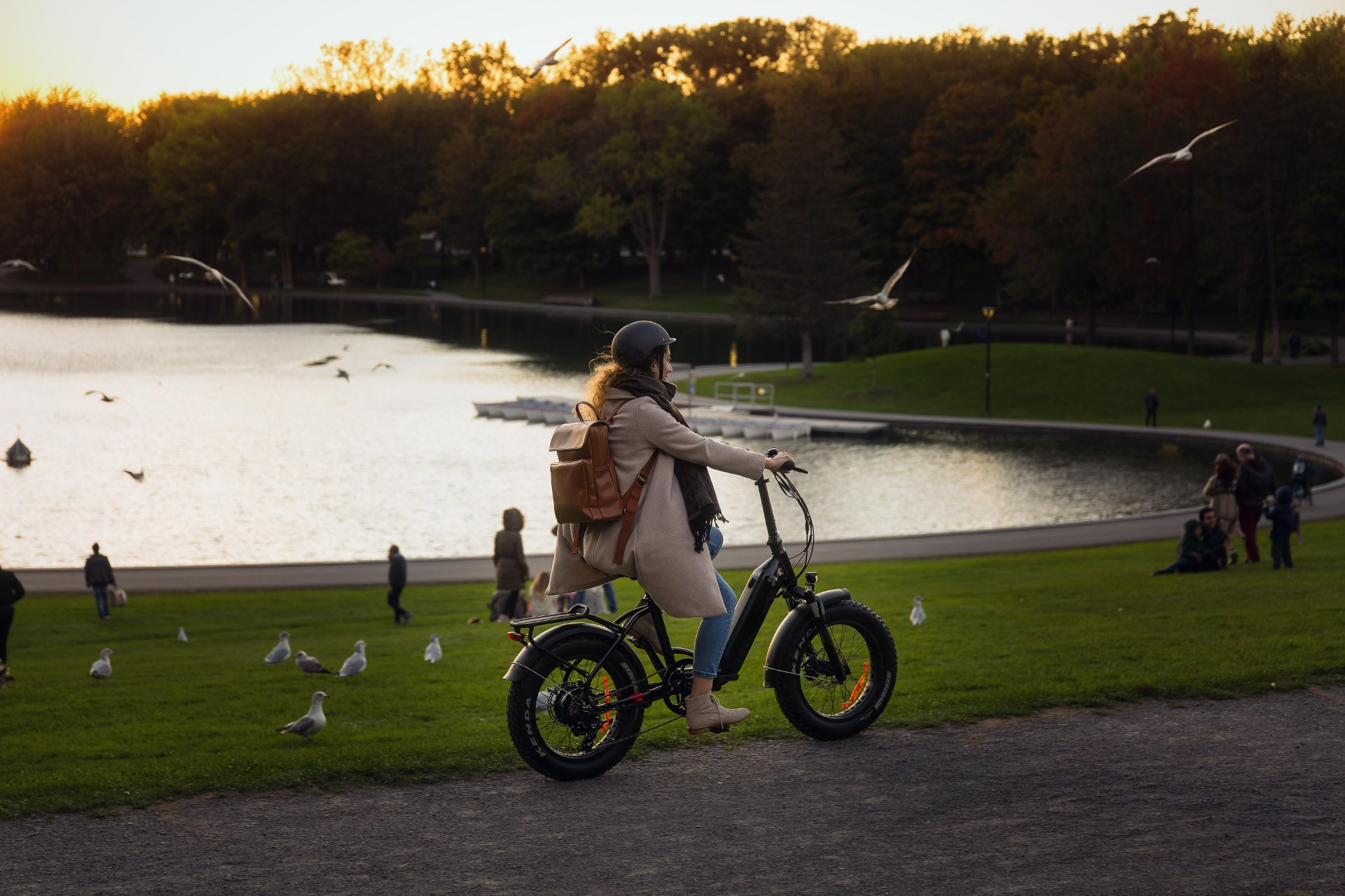 Stylish Affordable Folding Long-Range eBike Electric Commuter Bike | Moose