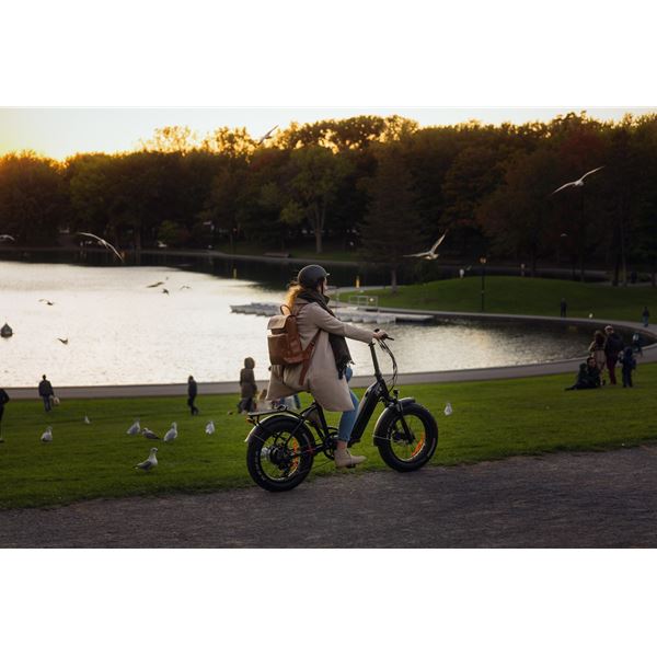 Stylish Affordable Folding Long-Range eBike Electric Commuter Bike | Moose