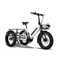 Electric Cargo Trike for Home Small Cargo Transport 500W BAFANG Mid-Drive Motor, 48V Battery, Aluminum Frame | Trio