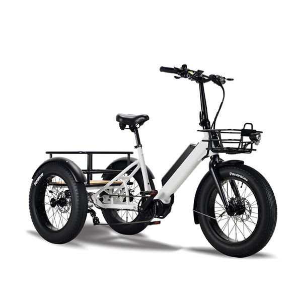 Electric Cargo Trike for Home Small Cargo Transport 500W BAFANG Mid-Drive Motor, 48V Battery, Aluminum Frame | Trio