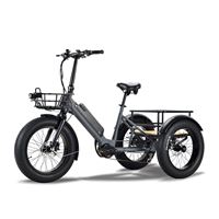 Electric Cargo Trike for Home Small Cargo Transport 500W BAFANG Mid-Drive Motor, 48V Battery, Aluminum Frame | Trio