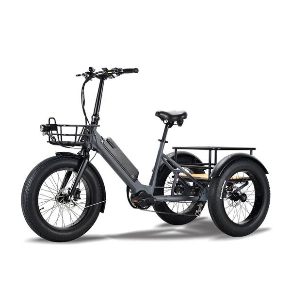 Electric Cargo Trike for Home Small Cargo Transport 500W BAFANG Mid-Drive Motor, 48V Battery, Aluminum Frame | Trio