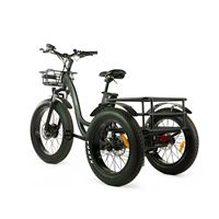 Electric Cargo Trike with Fat Tire 500W Brushless Motor, 48V Battery for Home Small Cargo Use | T4B trike