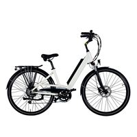 Stylish City Bike - Modern Design Multiple Colors Trendy Short-Distance Ride | City