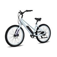 low-step cruiser that offers a large comfy saddle and custom Innova tires for effortless road riding and urban voyages | Sunny Day