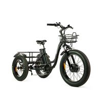 Electric Cargo Trike with Fat Tire 500W Brushless Motor, 48V Battery for Home Small Cargo Use | T4B trike