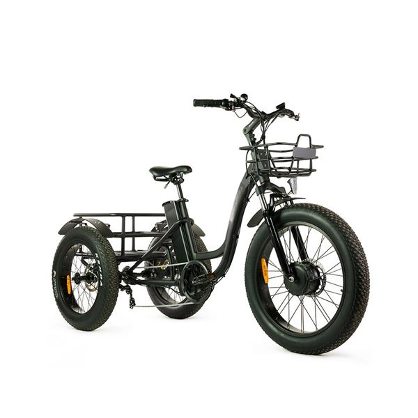 Electric Cargo Trike with Fat Tire 500W Brushless Motor, 48V Battery for Home Small Cargo Use | T4B trike