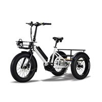 Electric Cargo Trike for Home Small Cargo Transport 500W BAFANG Mid-Drive Motor, 48V Battery, Aluminum Frame | Trio